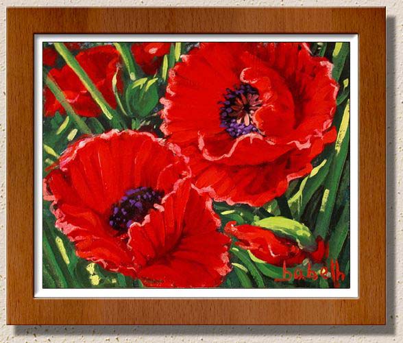 Pavots-rouges