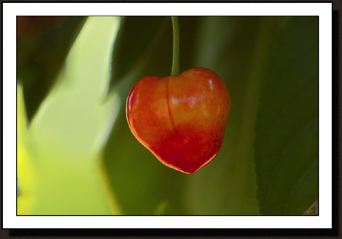 Un coeur suspendu